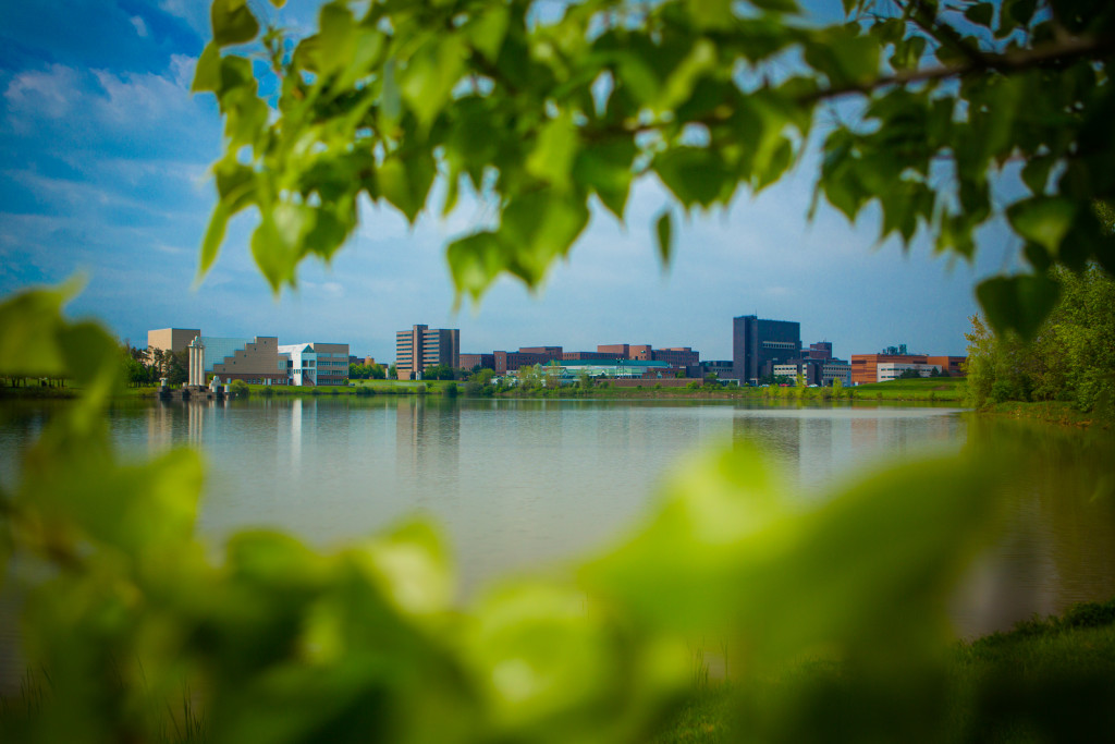 Panoramic view of North Campus across Lake LaSalle in early spring, with geese Photo: Douglas Levere